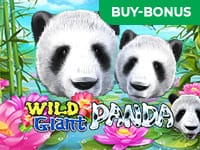 Wild Giant Panda screenshot